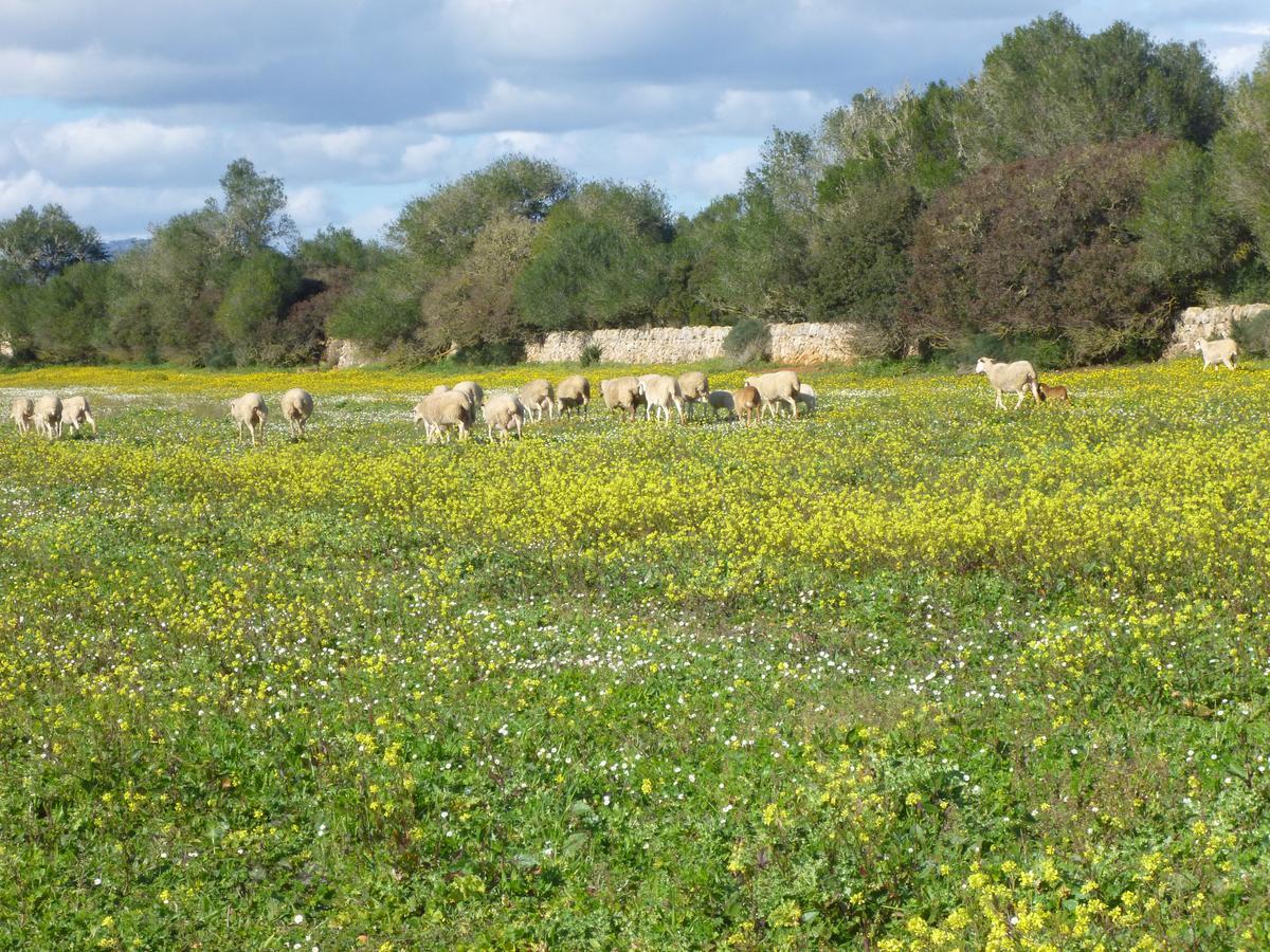 Agroturisme Son Llado Campos  Exteriér fotografie
